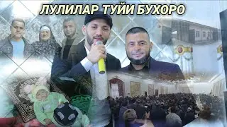 БУХОРО ЛУЛИЛАР ТУЙИ 2024