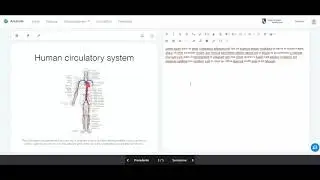 Amanote - Moodle plugin - Student (IT)