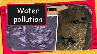 Science - Environment - Water Pollution - English