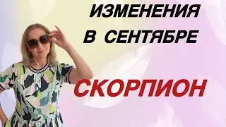 🔴 Скорпион изменения в сентябре…. Розанна Княжанская