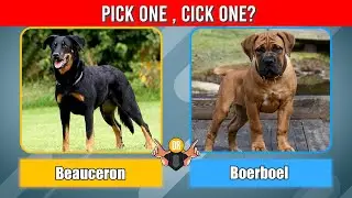 Pick One، Kick One 🐶🐶Dogs Edition |  Choices