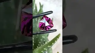 W6522-tourmaline-congo-4.03-carat-ravenstein