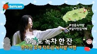 [📸]  한라산 뷰의 탁 트인 녹차밭으로의 여행!!｜오늘도 녹차 한 잔 -02