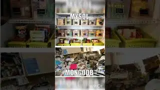 MySQL vs MongoDB #funnyvideo  #mysql #mongodb #database #programmer