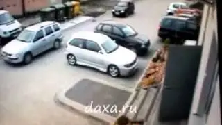 Парковка Кто за рулём ?