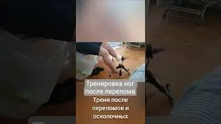 День ног