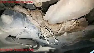 X-Trail NT30. Убрал грязь из под защиты двс и приемной трубы