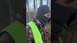 20 ноября 2023 г.