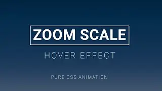 CSS Zoom Scale Image Hover Effect | CSS Image Hover Effect