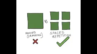 Exam Series: Spaced Repetition
