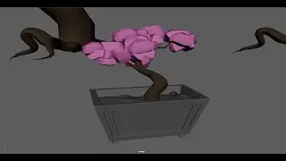 Bonsai tree model time-lapse - Autodesk Maya