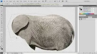 CrazyTalk Animator Tutorial - Advanced Body Photo Fitting Part 2