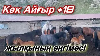 Биелер кенжелеп қалды! Былтырғы жұттың әсері! Жылқының темасы.