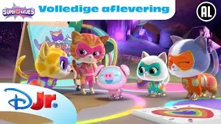 🖼️ Museum Chaos | Super Katjes | Volledige Aflevering | Disney Junior BE
