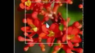 Convolution kernel in processing