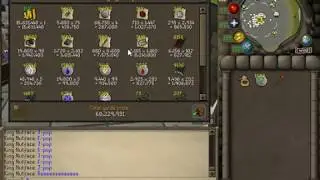 OSRS - Loot from 4k Skeletal Wyvern kills!
