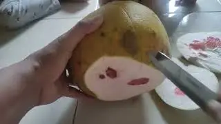 cara kupas jeruk bali beli di pangkep😄