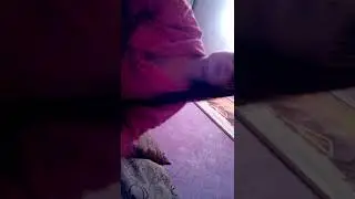 Помыла голову 10 раз!!!!!!!