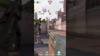 Clean Chamber ACE   Valorant Shorts 