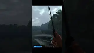 Fishing Planet. Большая Акула. Амазонский Лабиринт.