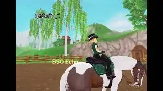 Meet my horses! ❤️ || Check my bio for more info 💗