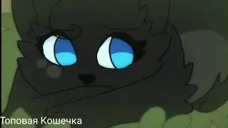 Клип коты воители – Это не любовь