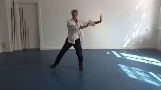 Excercise Tai Chi front view MAH01786