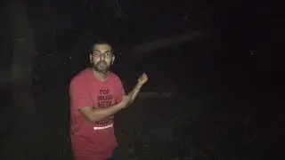 Amazing don't fear