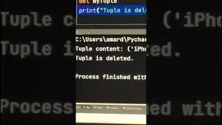 delete tuple in Python 🏙️🏙️🏙️