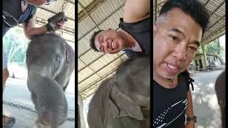 Solo Thailand Travels, Bangkok, Chiang Mai New Years Eve , Lopburi, Pai