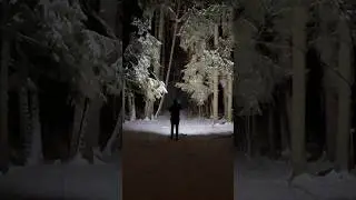 🔦Which flashlight should I buy? Armytek Nichia vs. PRO MAX 