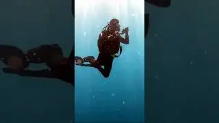 Why do people like to dive? #shorts
