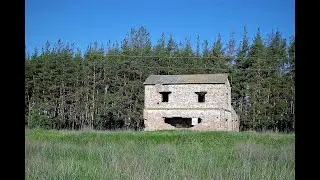 А нам бы здесь любить