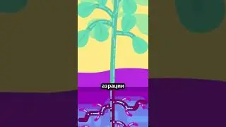Почему важно аэрировать почву? Узнайте, как это влияет на растения! 