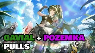 Arknights Gavial alter + Pozemka pulls!