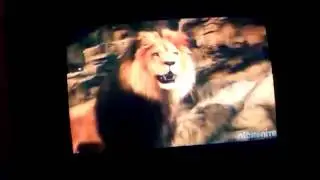Best scene of zookeeper