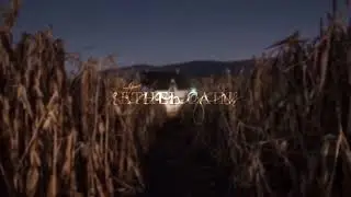Strangers - Ethel Cain (slowed + reverb)