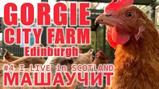 Gorgie city farm in Edinburgh / Маша учит / I live in Scotland #4