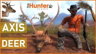 AXIS DEER - theHunter Classic