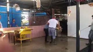 2 Eylül 2019