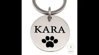 Naampenning hond Titanium 30 mm graveren