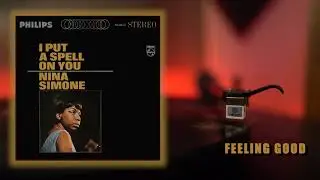Nina Simone - Feeling Good (Vinyl RIP)