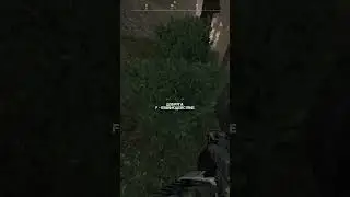 ХОРОШО СПРЯТАЛСЯ? STALCRAFT 