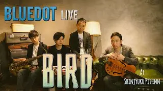 BIRD  　BLUEDOT　Live at Shinjyuku PITINN 2020