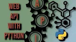 Basics of Calling Web APIs in Python