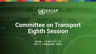 Committee on Transport, Eighth session, Day 3 - Afternoon