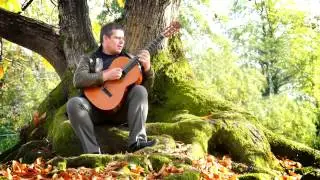 Александр Корнеев   Струны души 1
