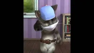 Talking Tom The Ninja!