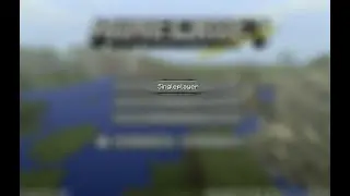 Minecraft SINGLEPLAYER... | Minecraft