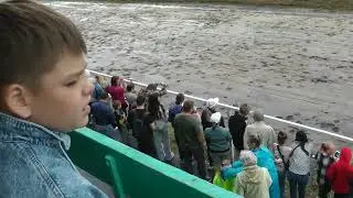 10.08.2024 г. Приз Элиты